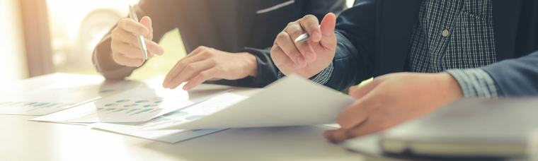 Internal audit & risk management function