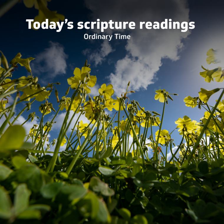 The Gospel of the day: 3rd September