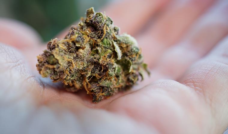 Cannabis shop operator cleared of drug trafficking charges